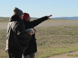 2026-01-11_model_rois_0014